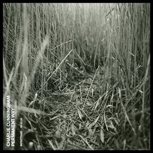 欧美女星安姨内射视频
